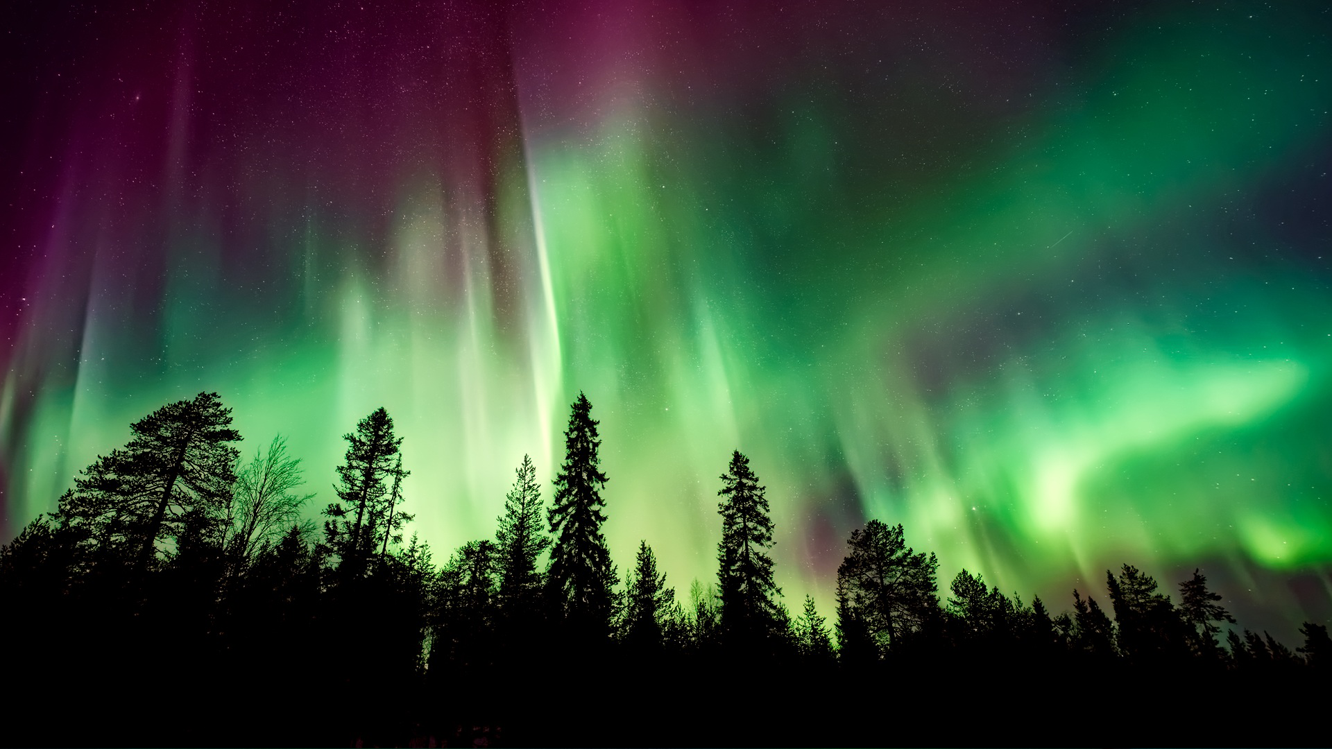 Some beautiful auroras